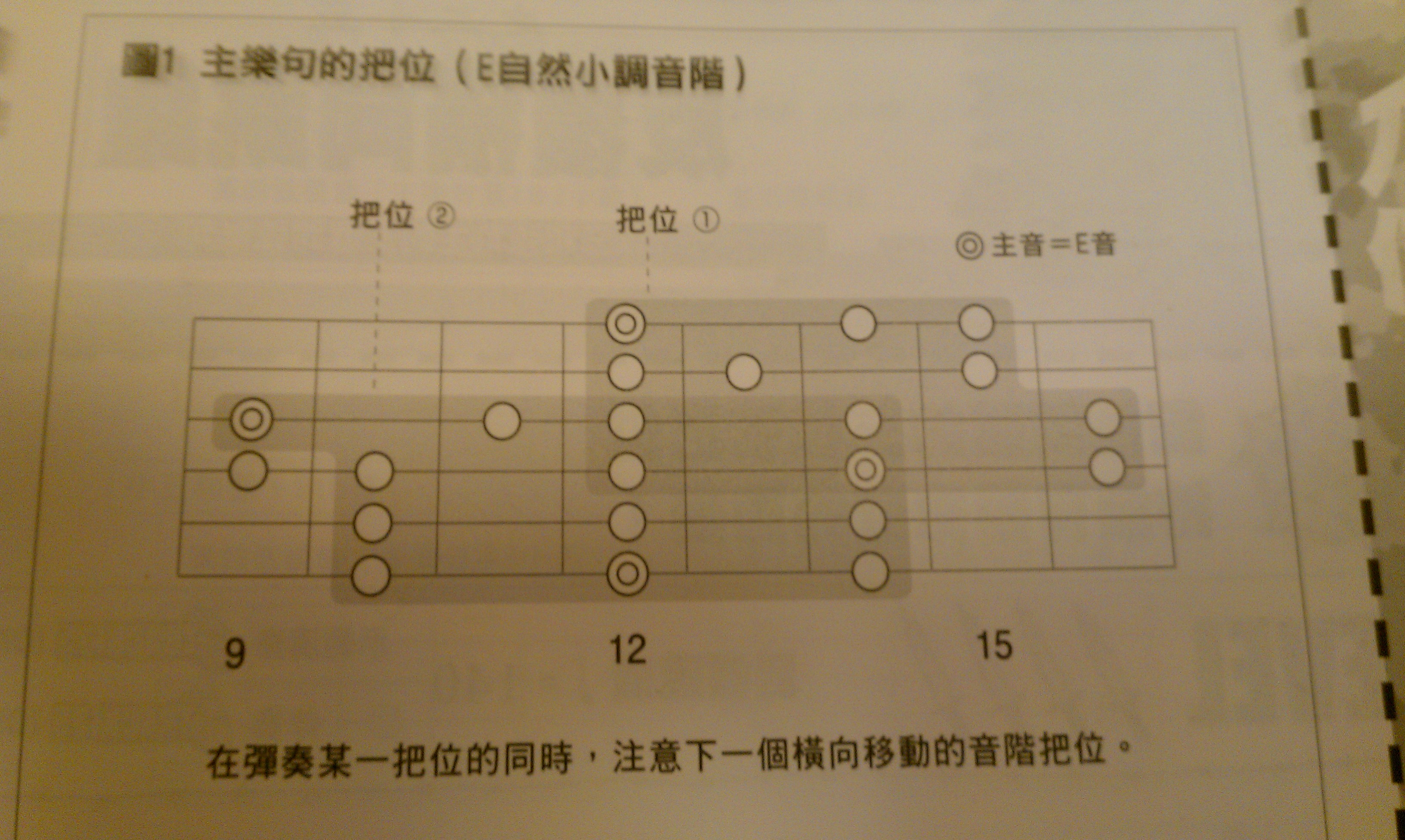 IMAG0224.jpg