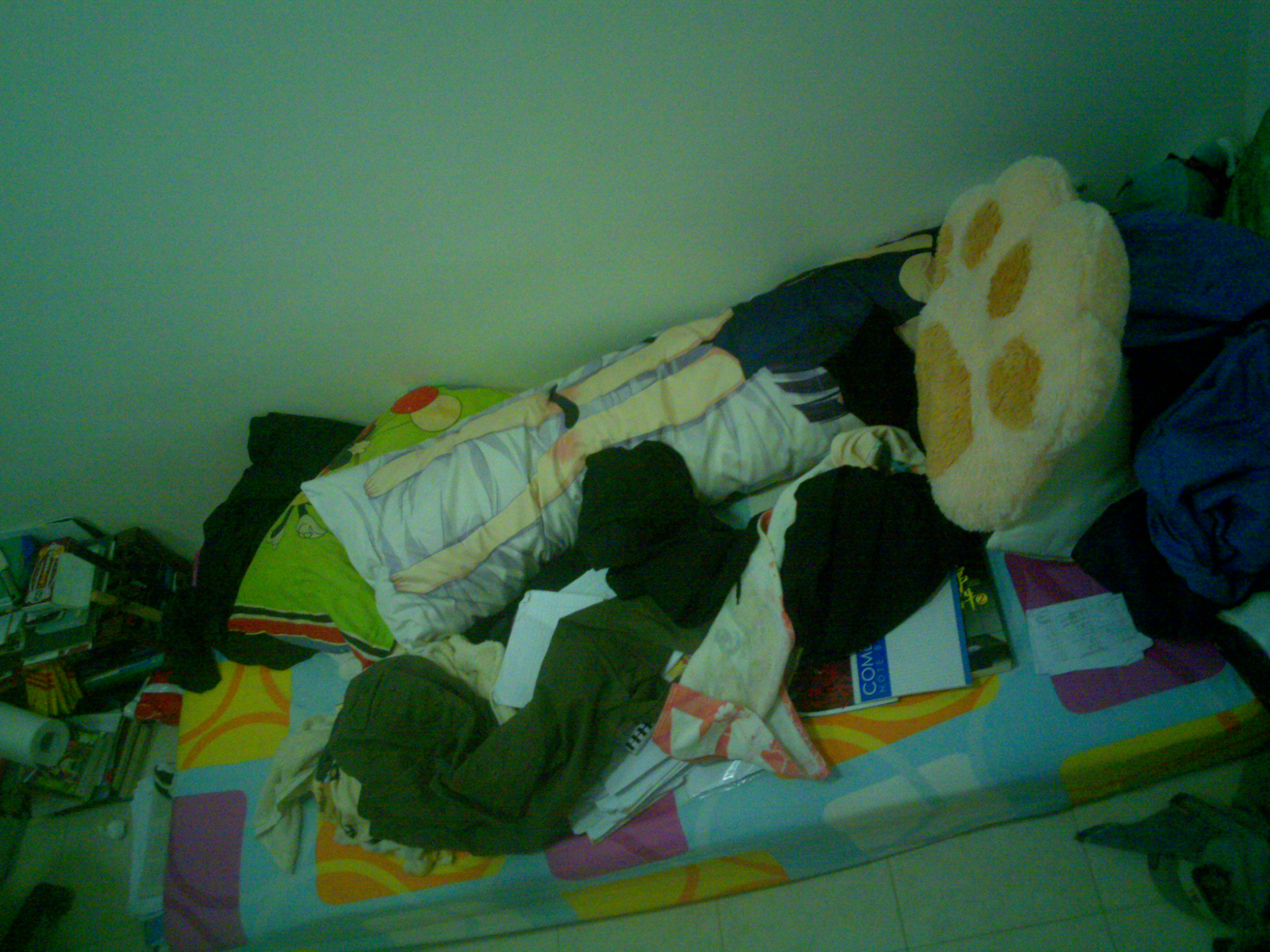 20130615795.jpg