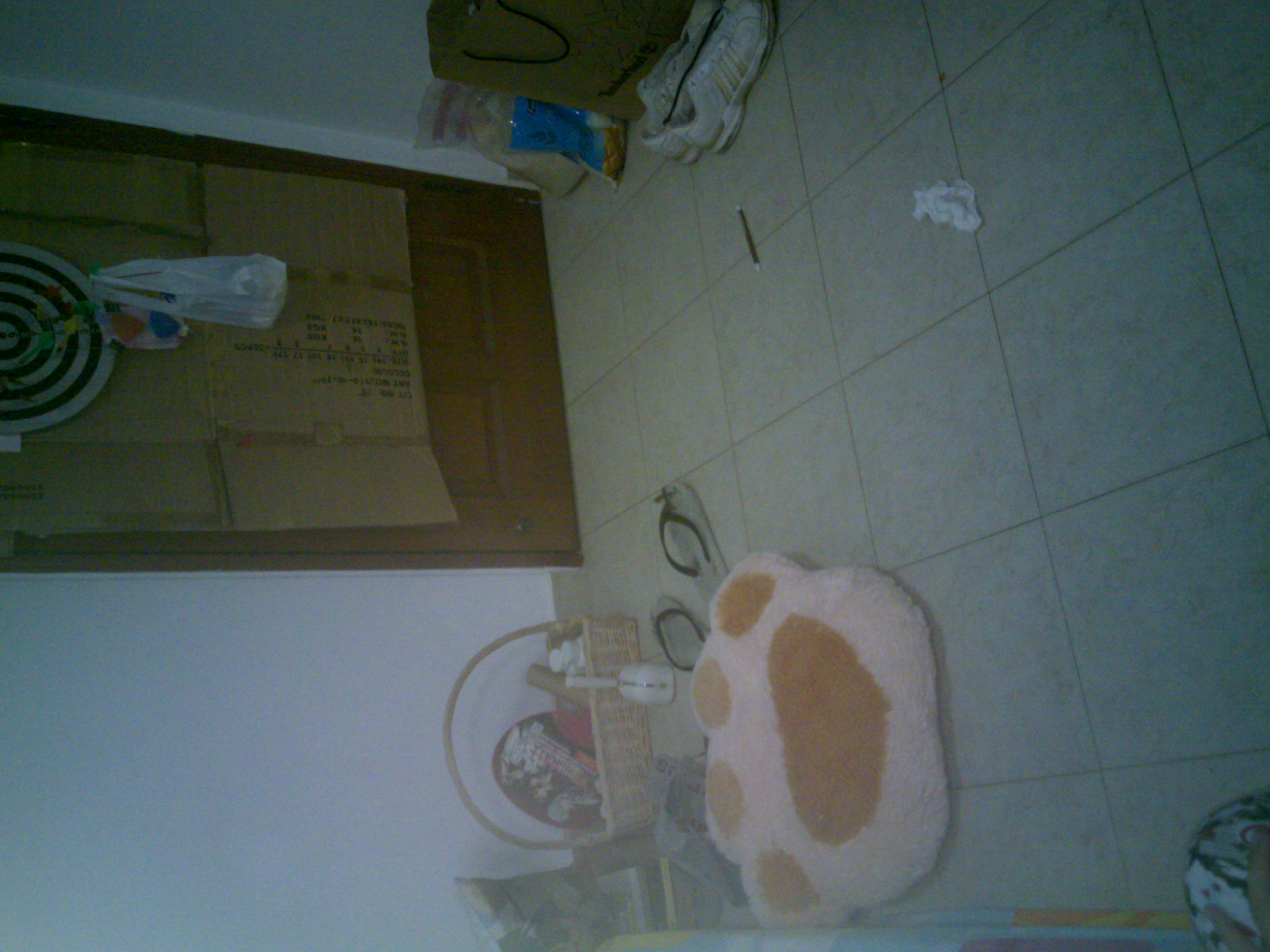 20130615798.jpg