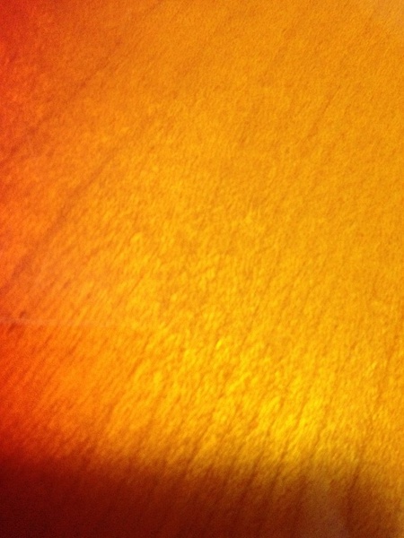 p1873041054.jpg