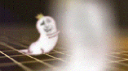 QQͼƬ20131117085815.gif
